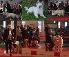  - Exposition canine internationale de Poitiers 2021