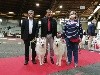  - EXPOSITION CANINE INTERNATIONALE POITIERS 2020