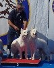  - Exposition canine nationale de Segré 2021