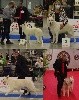  - Exposition canine nationale du Mans 2021
