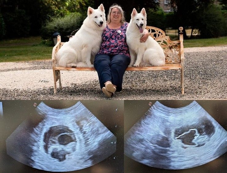 Gestation de Nikhita confirmée