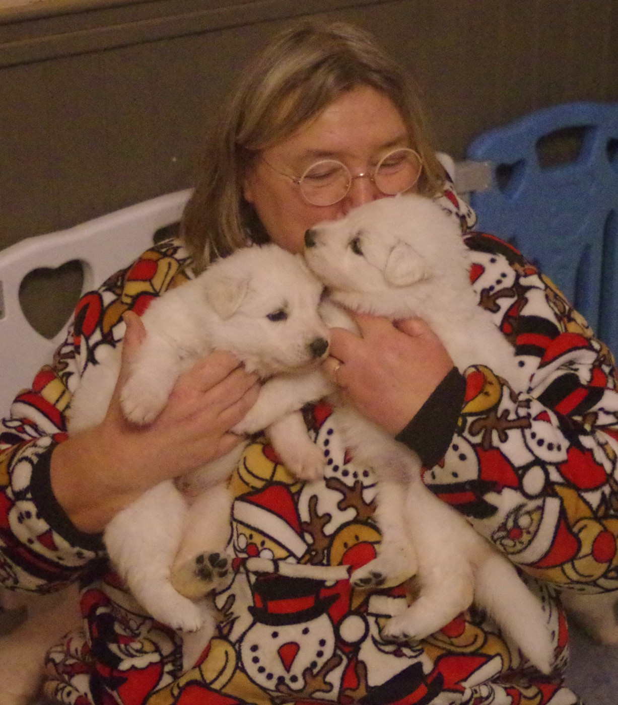 Chiots Nikhita-Fire du paradis boupi et Eymji Mojito - 2025